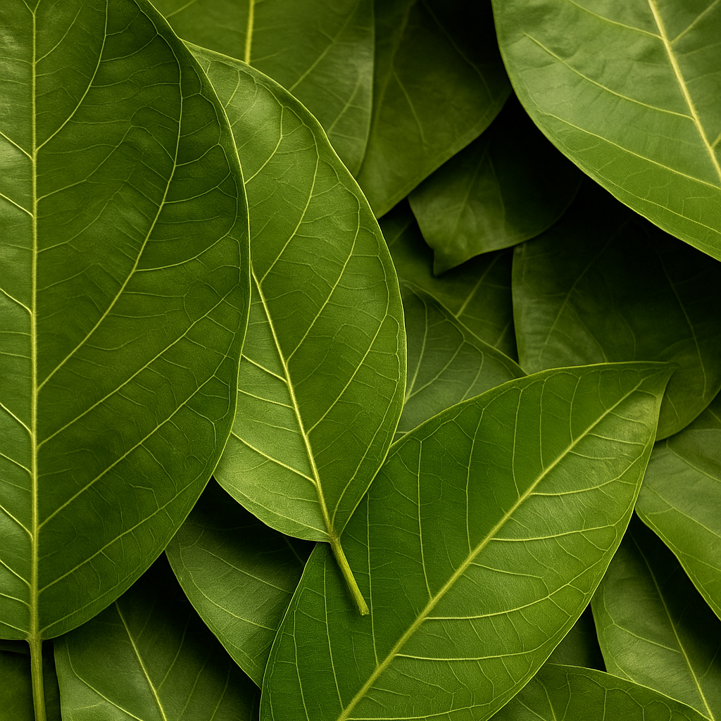 palm leaf bowls exporter